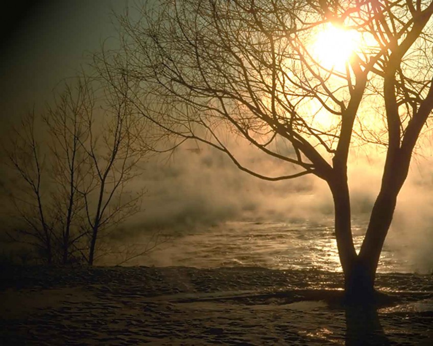 Chayei Sarah: What is True Life?