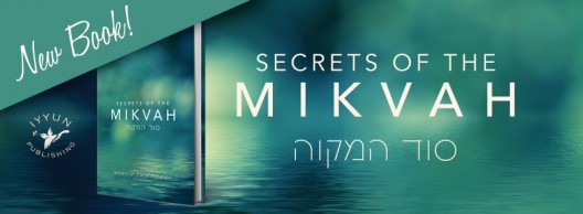 Fascinating New Book by Rav Pinson