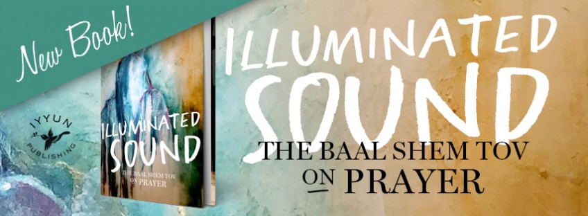  Book on the Baal Shem Tov by Rav Pinson!